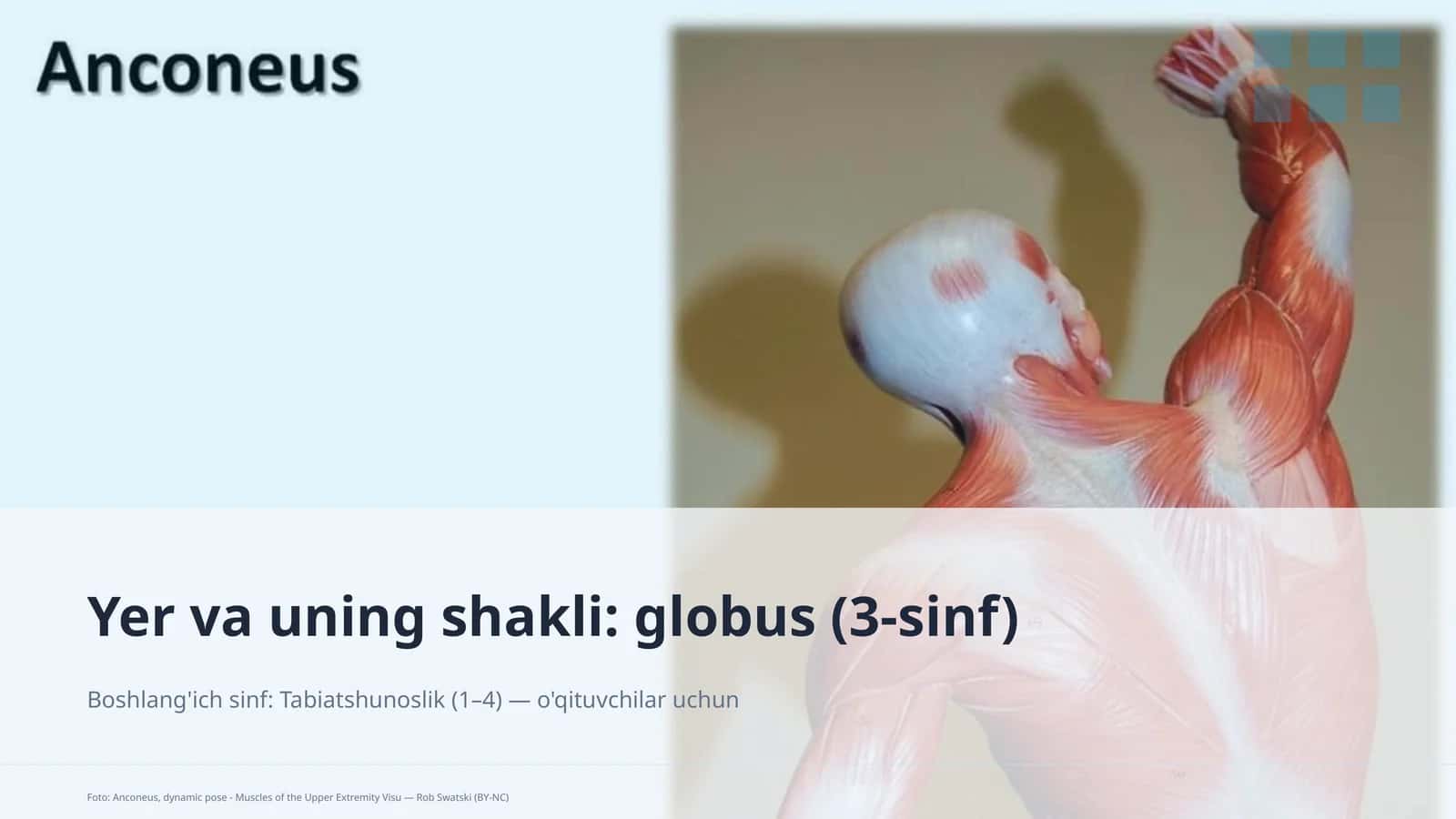 globus (3-sinf) 1