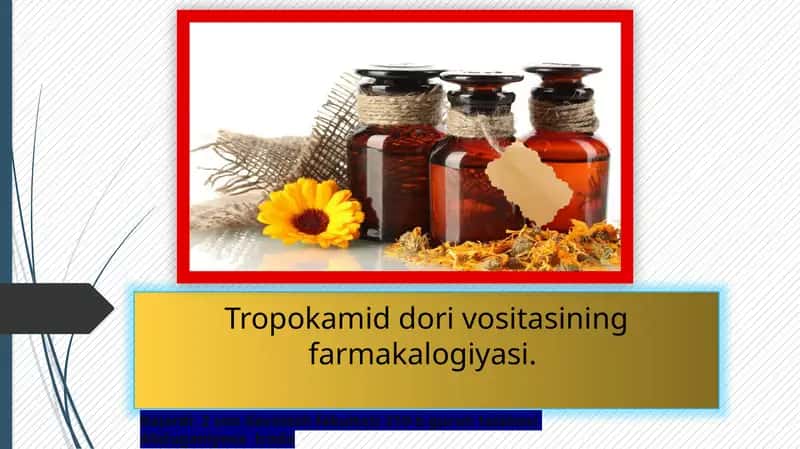 Tropokamid dori vositasining farmakalogiyasi 1