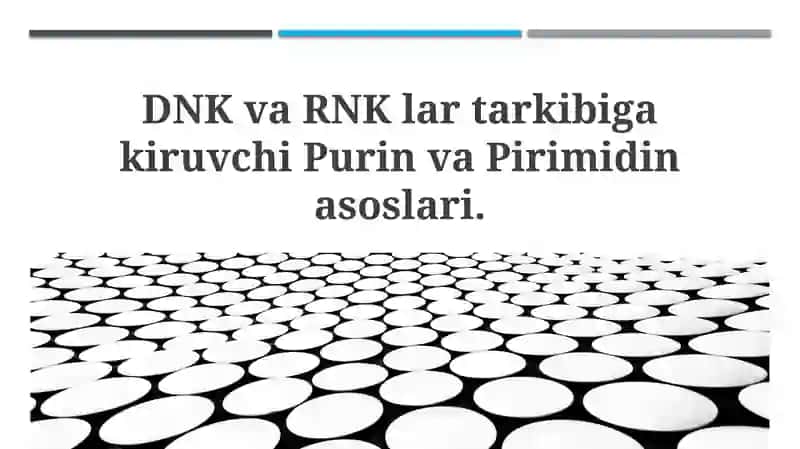 DNK va RNK lari tarkibiga kiruvchi Purin va Pirimidin asoslari