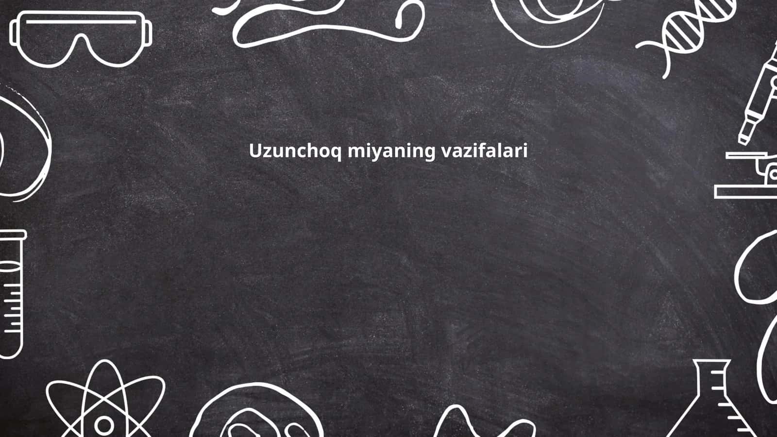Uzunchoq miyaning vazifalari 1