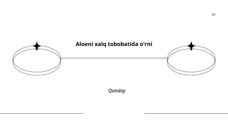 Aloe tarixi va xalq tabobatidagi o'rni 1