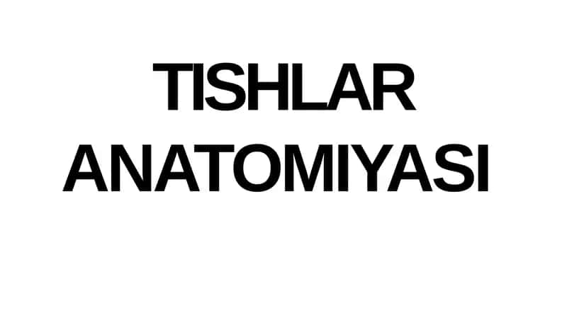 TISHLAR ANATOMIYASI 1