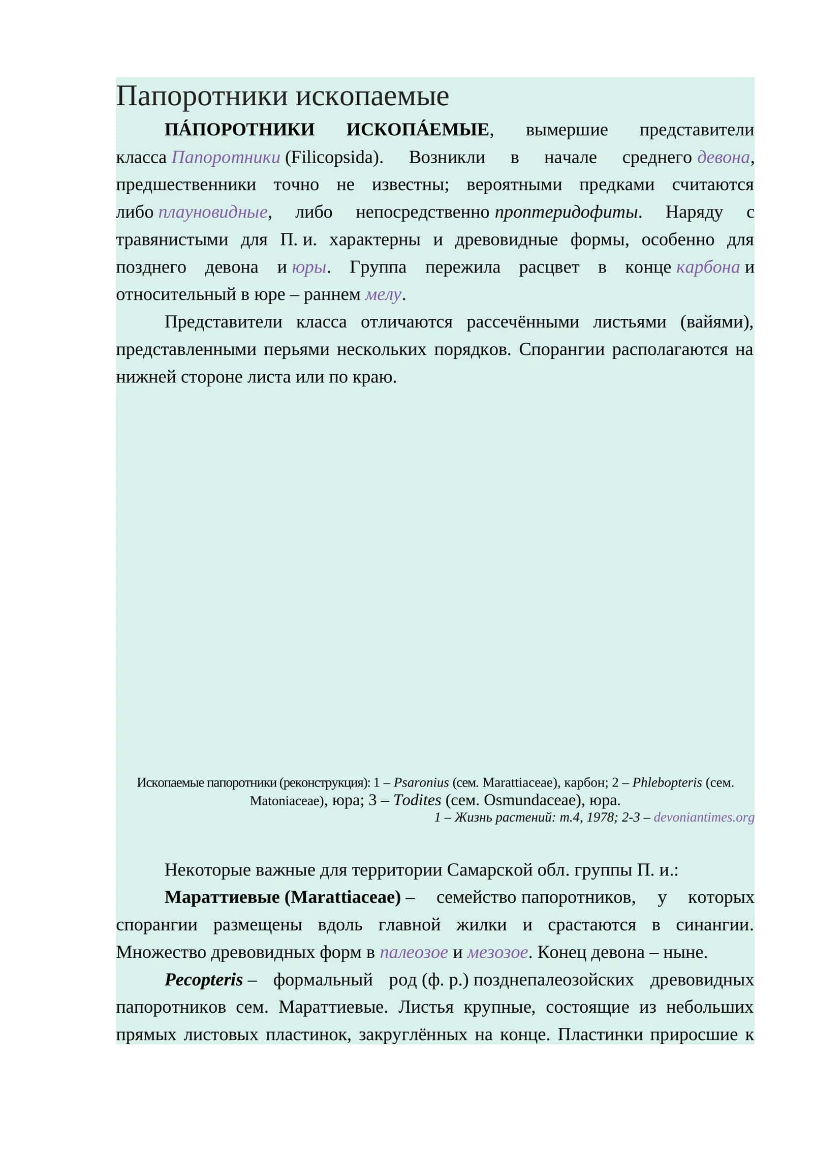 Папоротники ископаемые 1