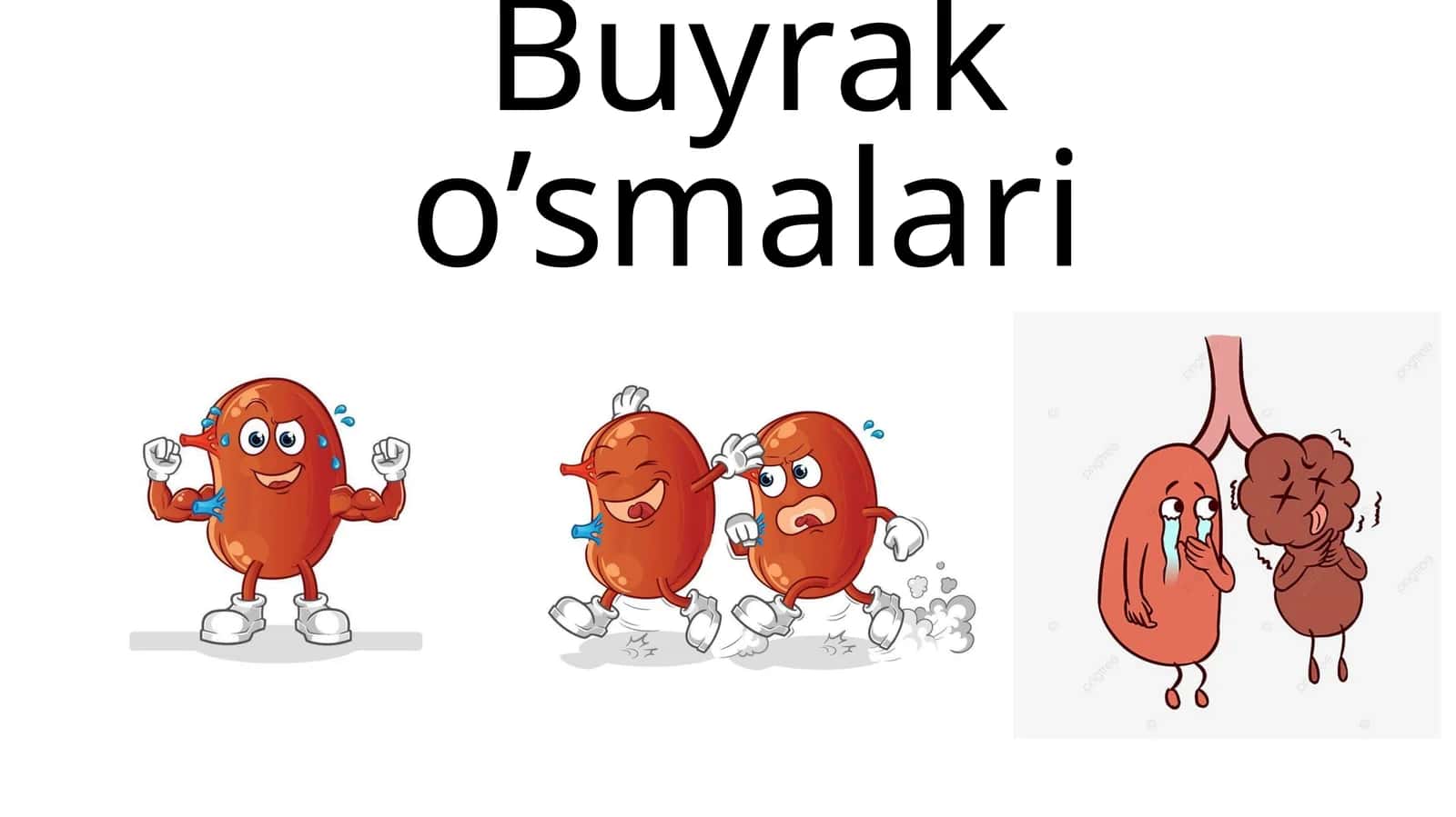 Buyrako’smalari 1