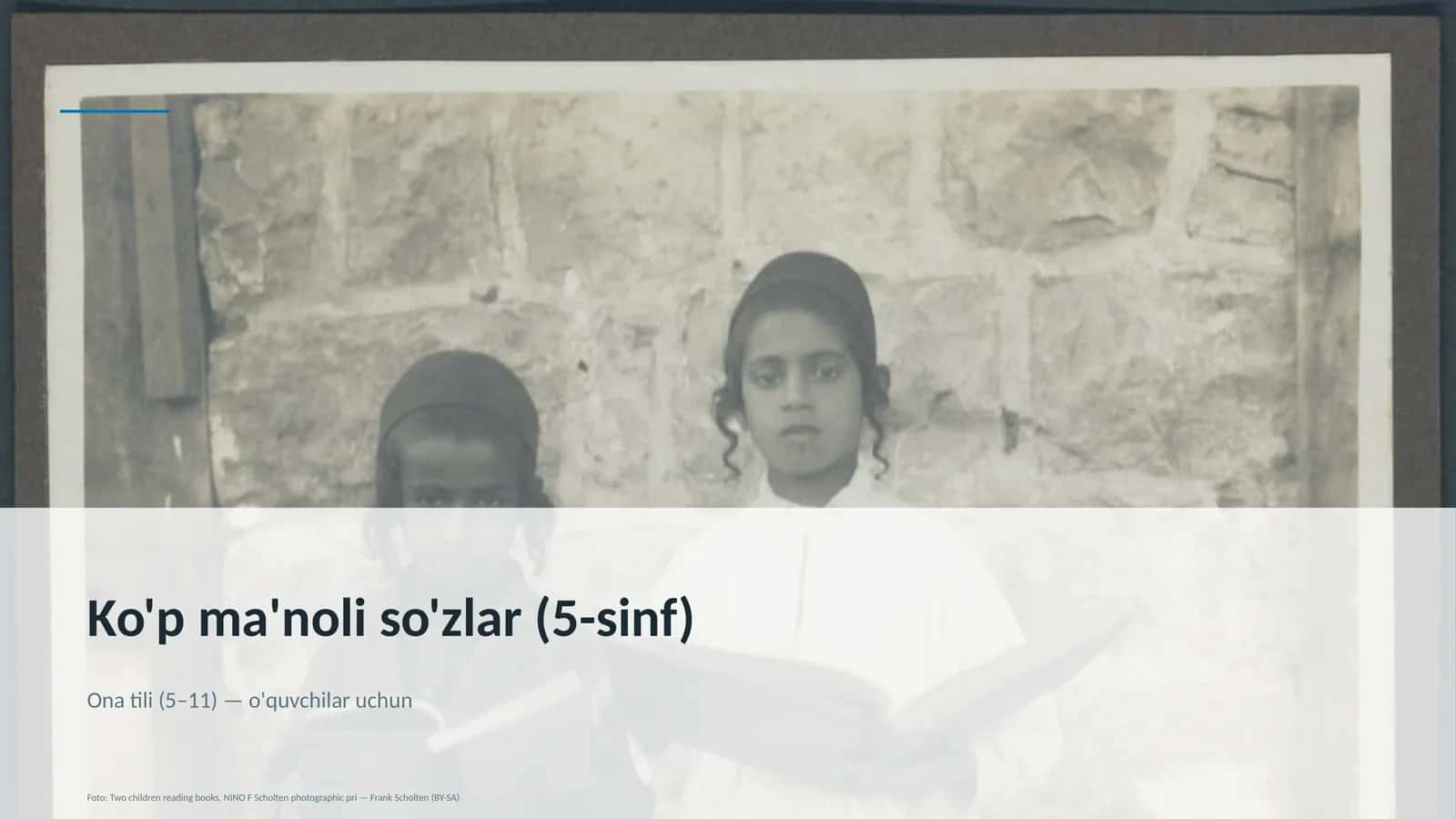 Ko'p ma'noli so'zlar (5-sinf) 1