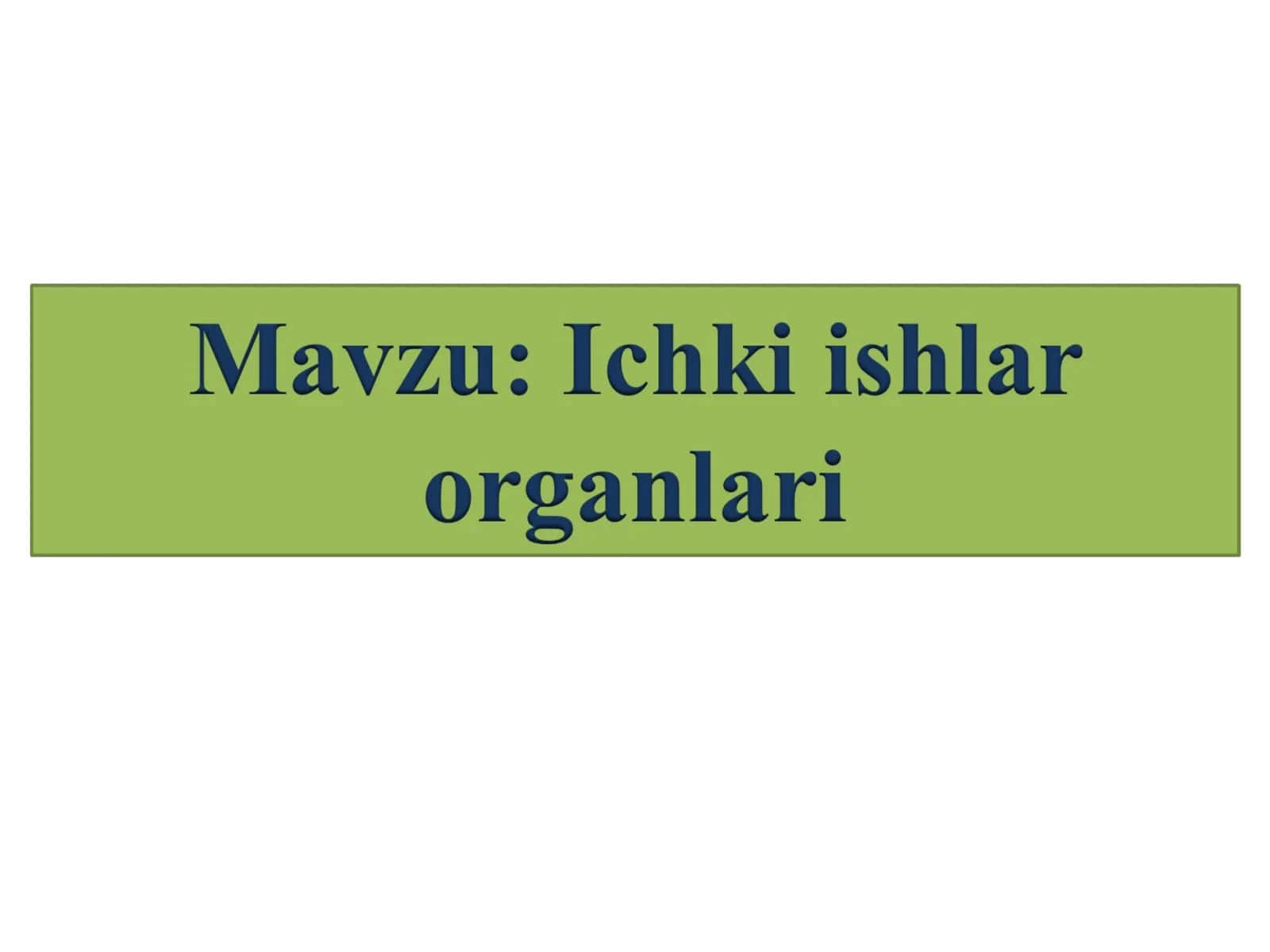 Ichki ishlar organlari 1
