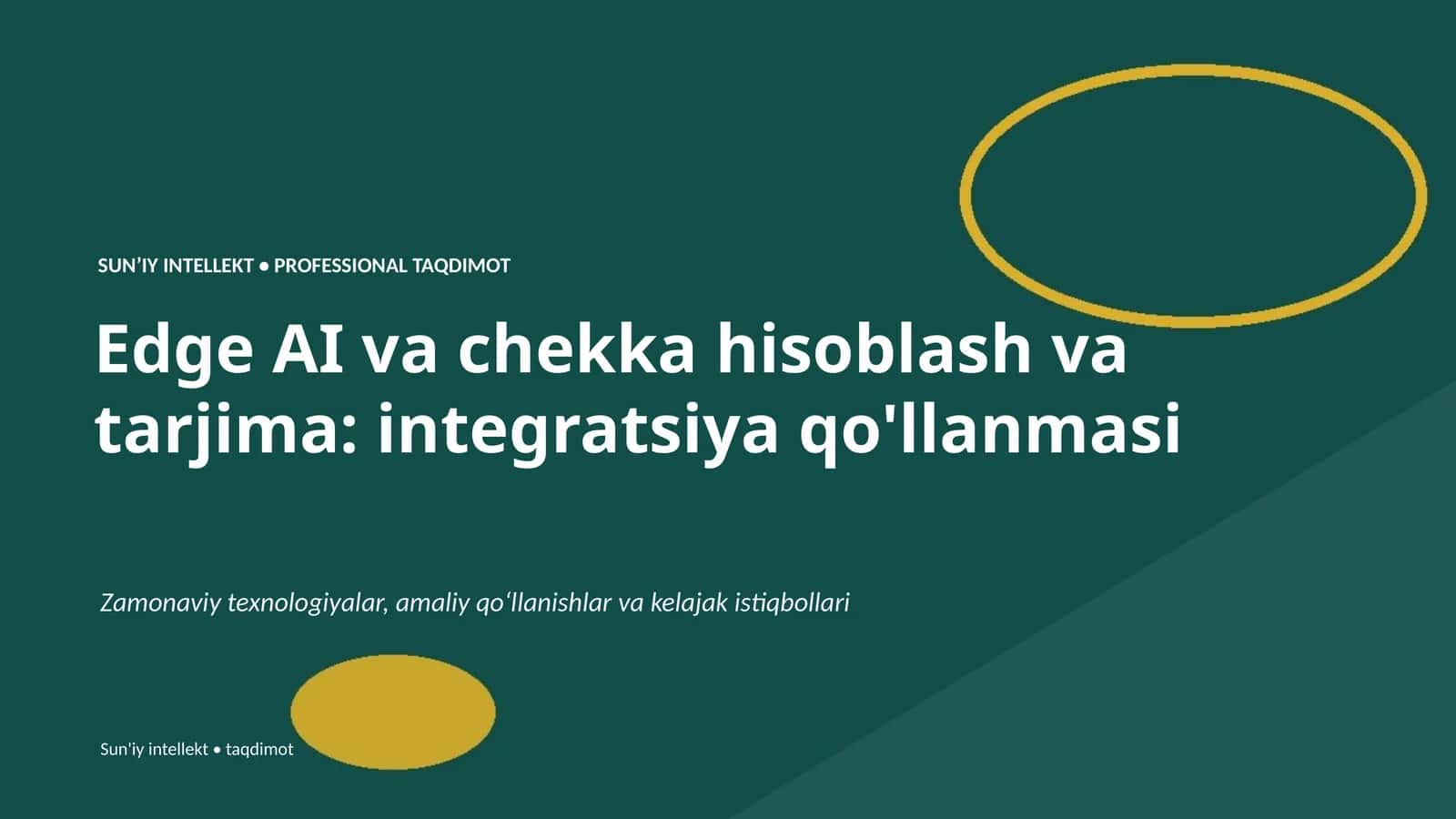 PROFESSIONAL TAQDIMOT 1