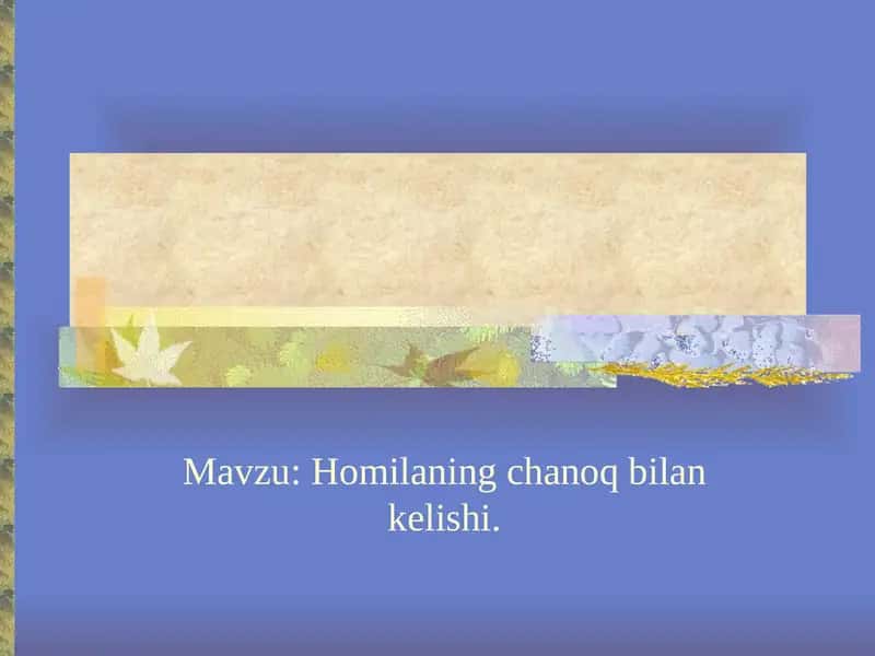 Homilaning chanoq bilan kelishi. 1