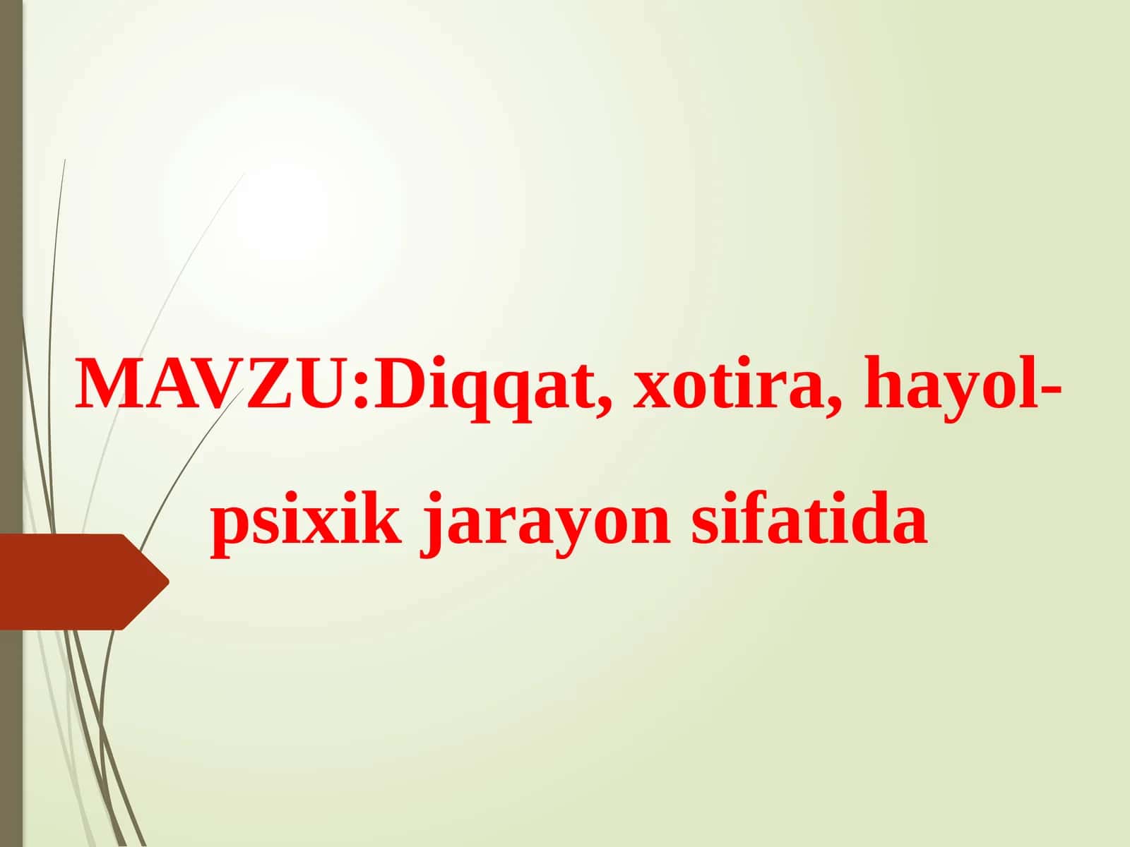 Diqqat,xotira,hayol-psixikjarayonsifatida 1