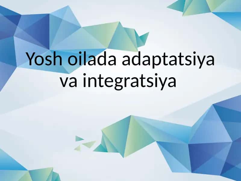 Yosh oila adaptatsiyasi va integratsiyasi 1