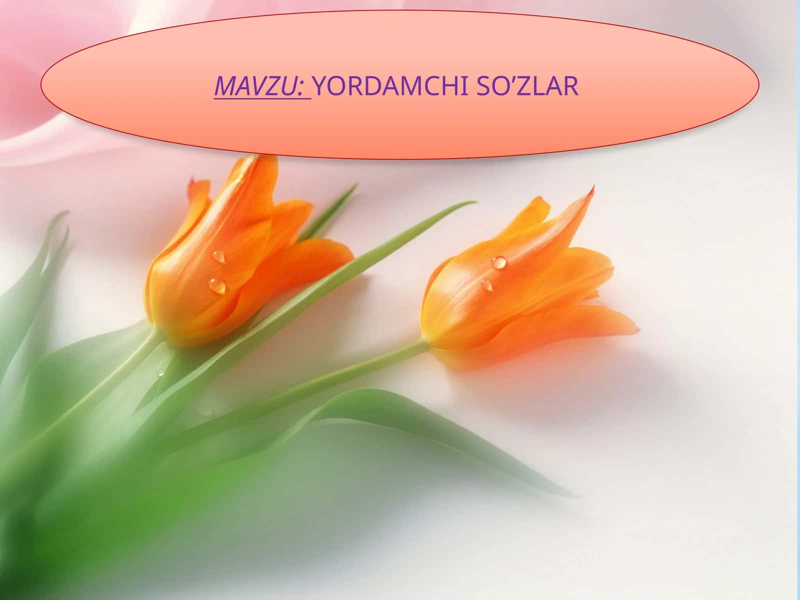YORDAMCHI SO’ZLAR 1