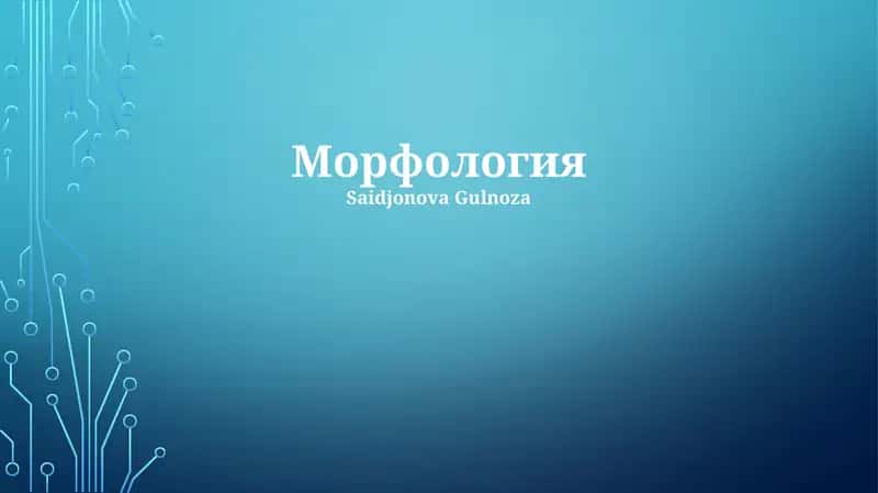 Морфология 1