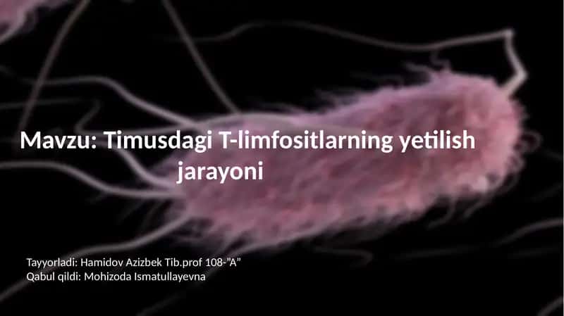 Timusdagi T-limfositlarning yetilishi jarayoni 1