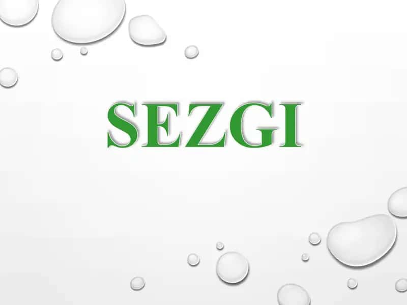 Sezgilarning nerv - fiziologik asoslari 1