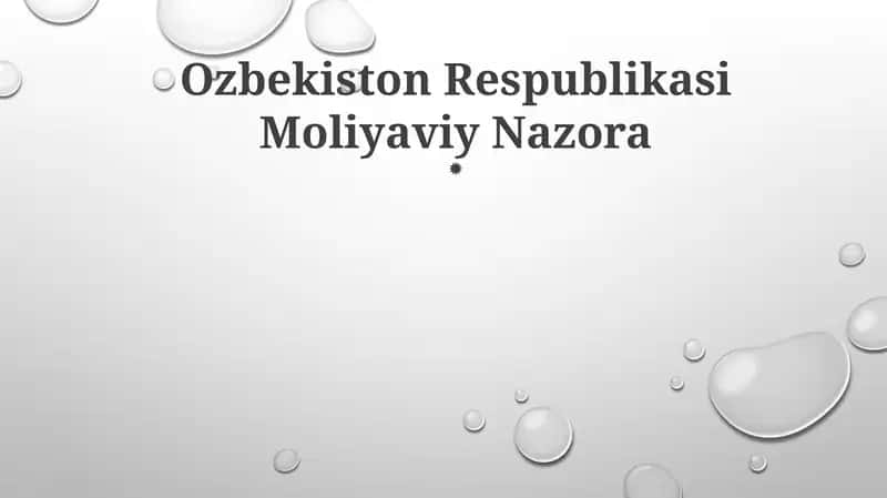 Ozbekiston Respublikasi Moliyaviy Nazora 1