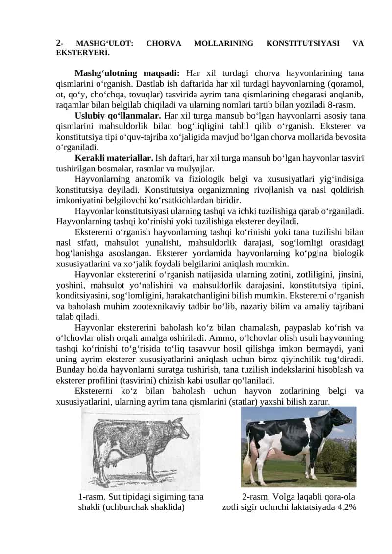 Chorva Mollarining Konstitutsiyasi va Ekstereri 1