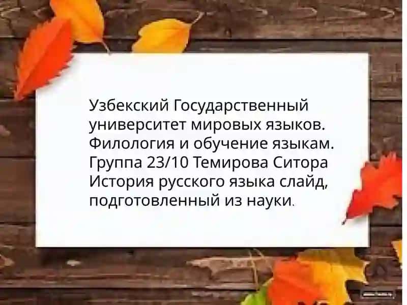 История русского языка