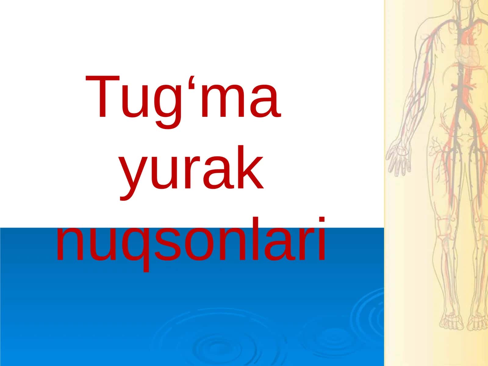 Tug‘ma yurak nuqsonlari 1