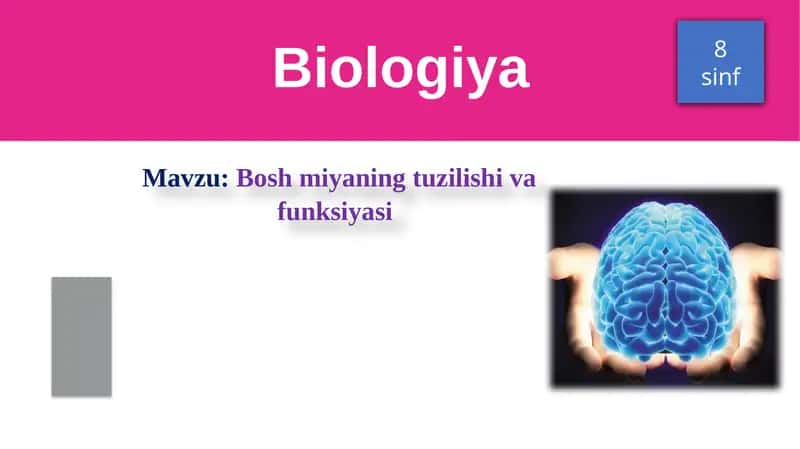 Boshmiyaning tuzilishi va funksiyasi 1