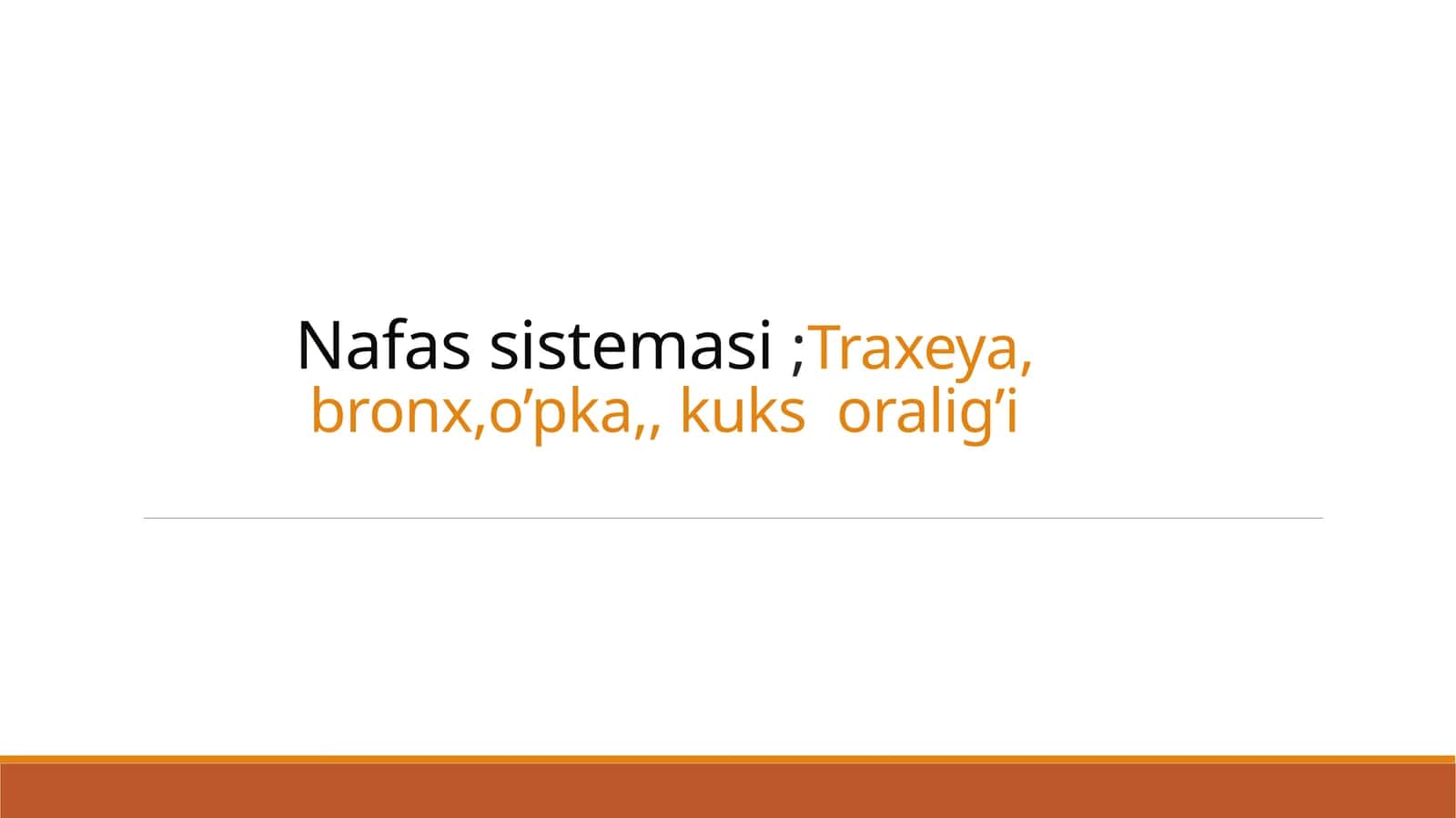 Nafassistemasi 1