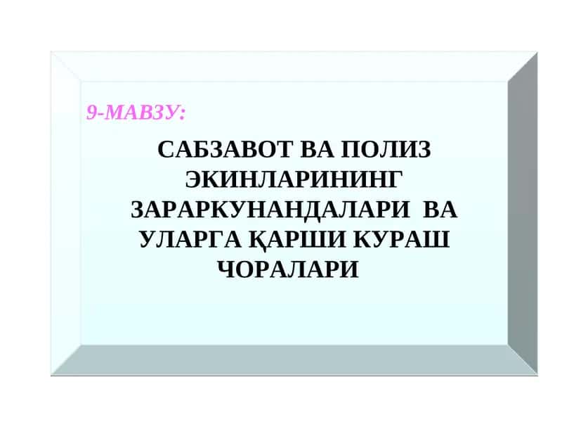 Сабзавотполизэкинлари 1