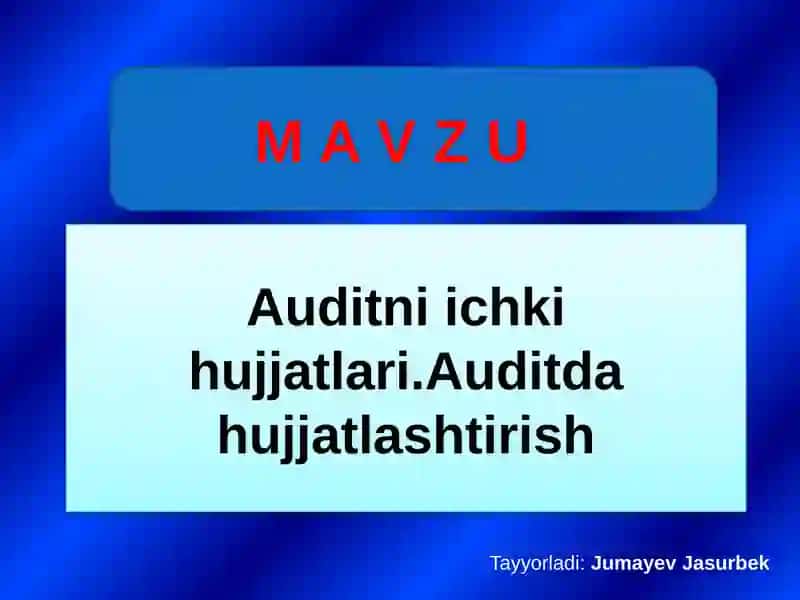Auditni ichki hujjatlari