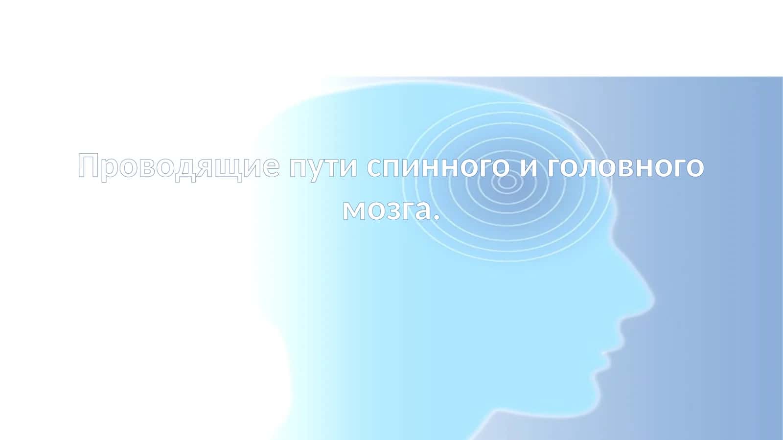 Проводящие пути спинного и головного мозга 1