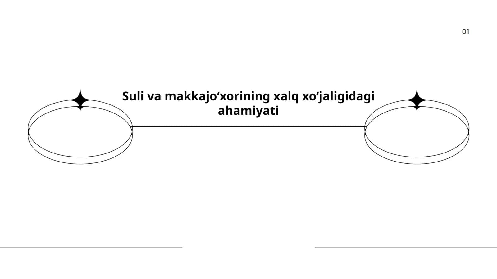 Suli va makkajo‘xori mahsulotlari 1