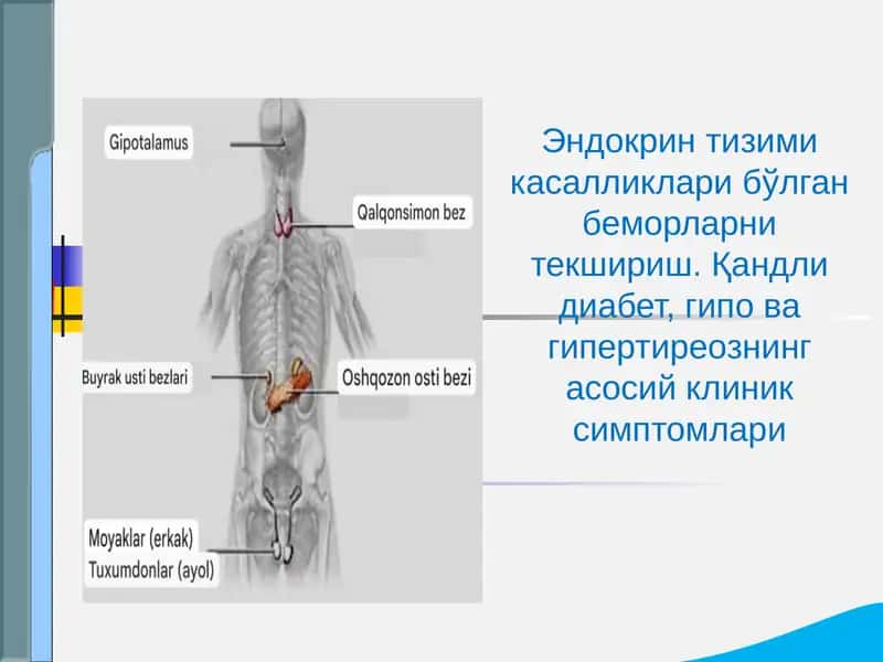 Эндокрин тизими касалликлари 1