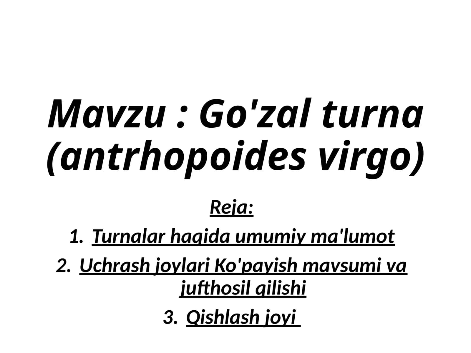 Go'zalturna(antrhopoidesvirgo) 1