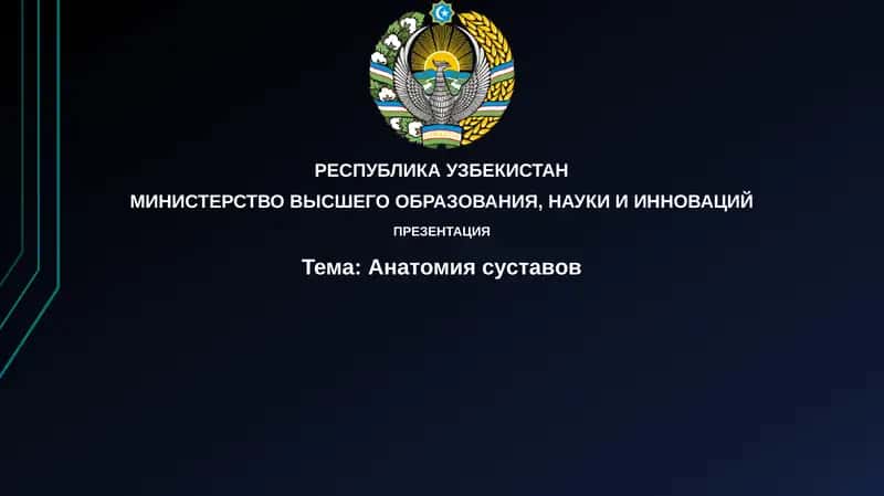 Анатомиясуставов 1