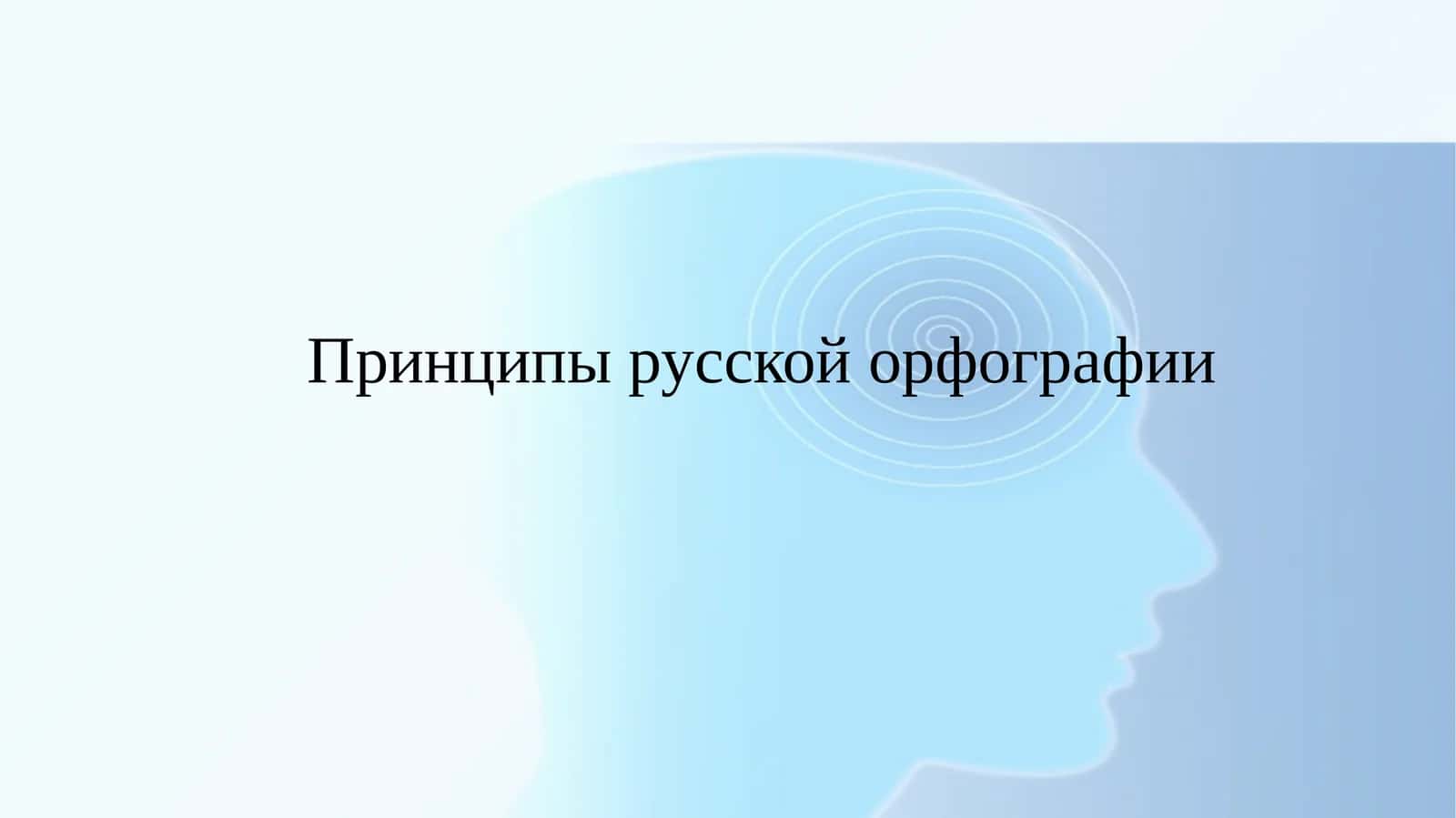 Принципы русской орфографии 1