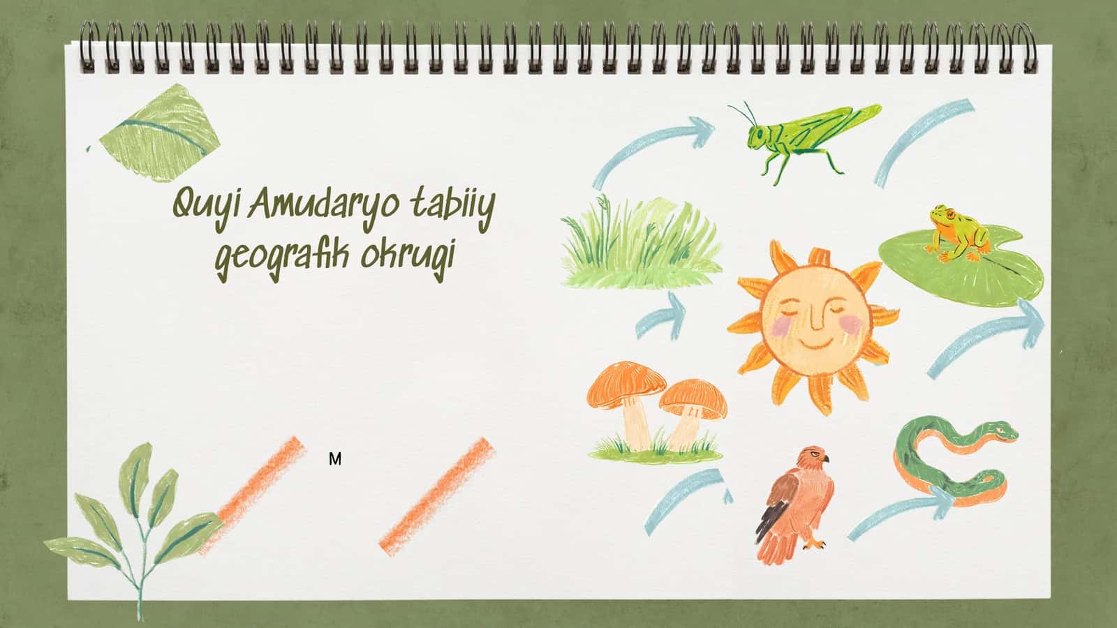Quyi Amudaryo tabiiy geografik okrugi 1