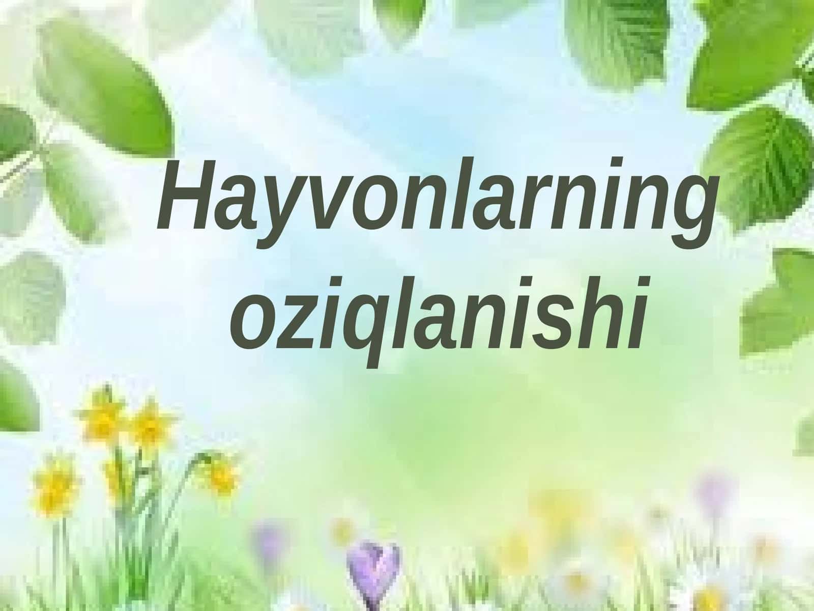 Hayvonlarning oziqlanishi 1