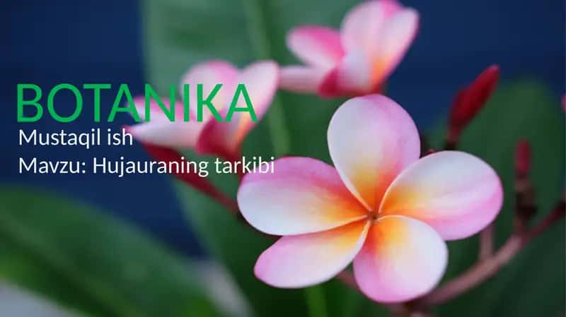 BOTANIKA 1
