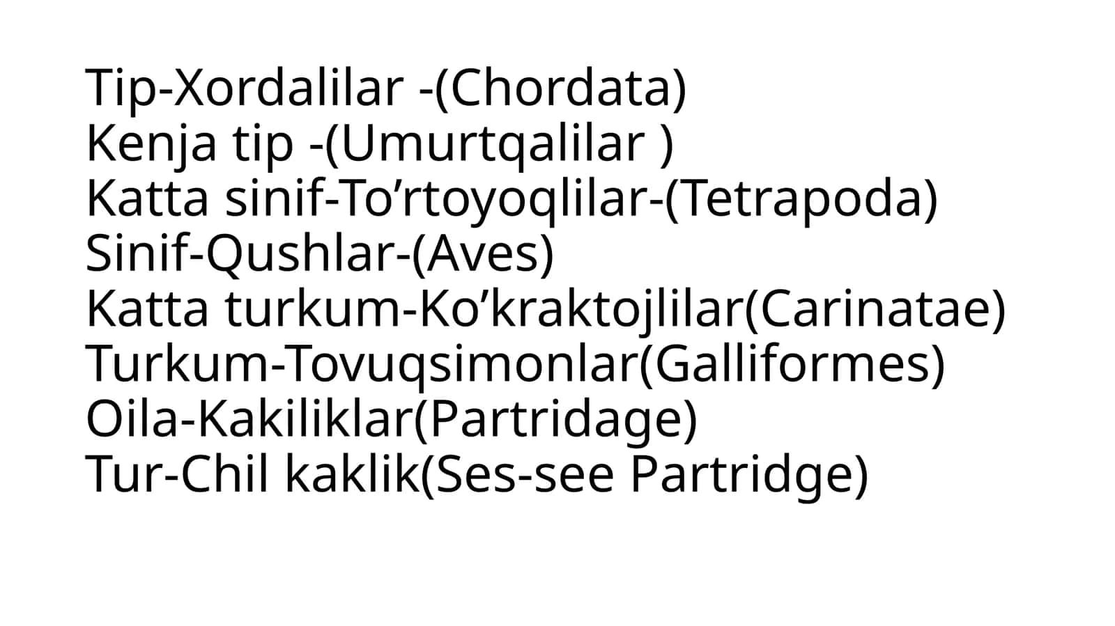 Kaklik (Alectoriskakelik) 1