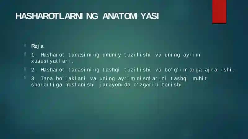 hasharotlarninganatomiyasi