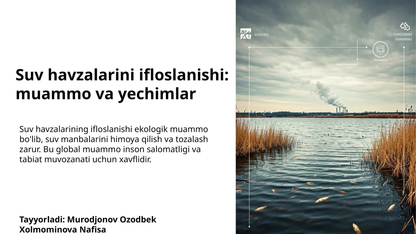 Suv havzalarini ifloslanishi: muammo va yechimlar 1