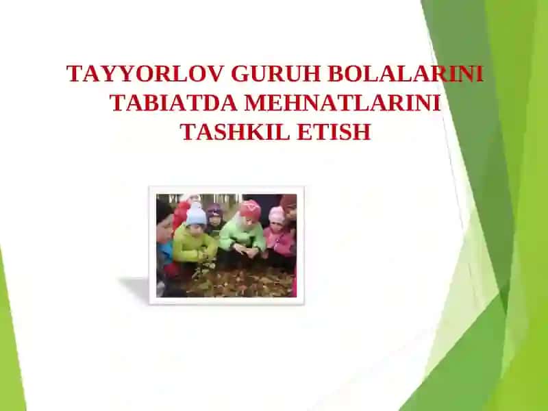 Tayyorlov Guruh Bolalarini Tabiatda Mehnatlari Tashkil Etish