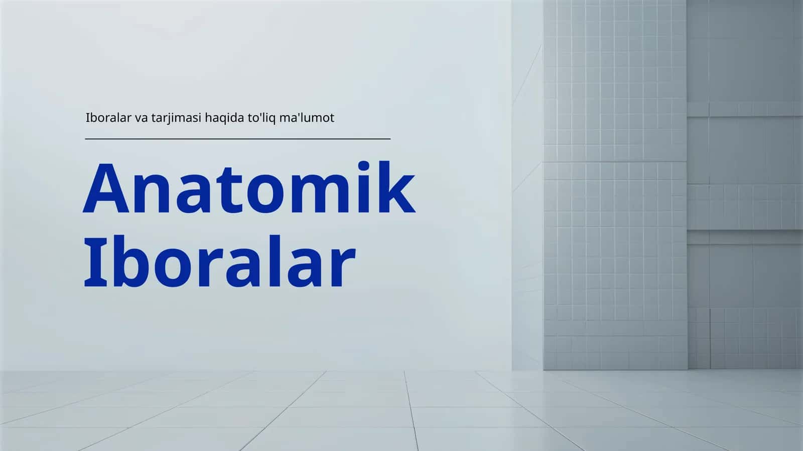 Anatomik Iboralar 1