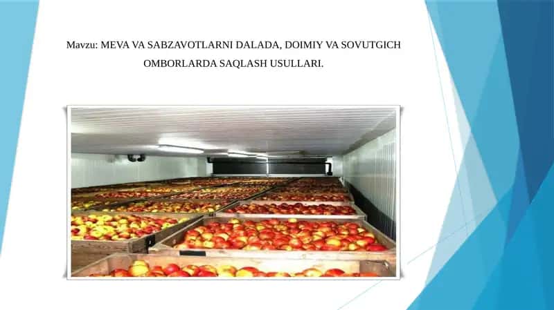 MEVAVA SABZAVOTLARNI DALADA, DOIMIY VA SOVUTGICH OMBORLARDA SAQLASHUSULLARI 1