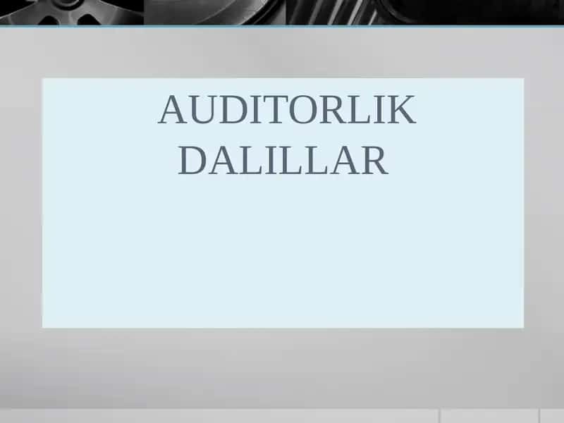 Auditorlik Dalillar 1