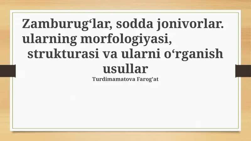 Zamburug‘lar, sodda jonivorlar 1