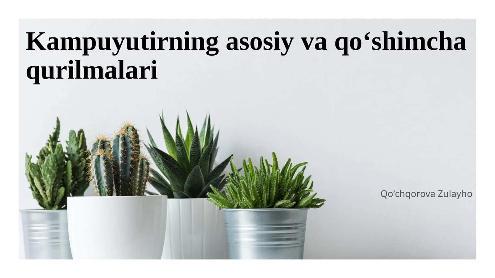Kampuyutirning asosiy va qoʻshimcha qurilmalari 1