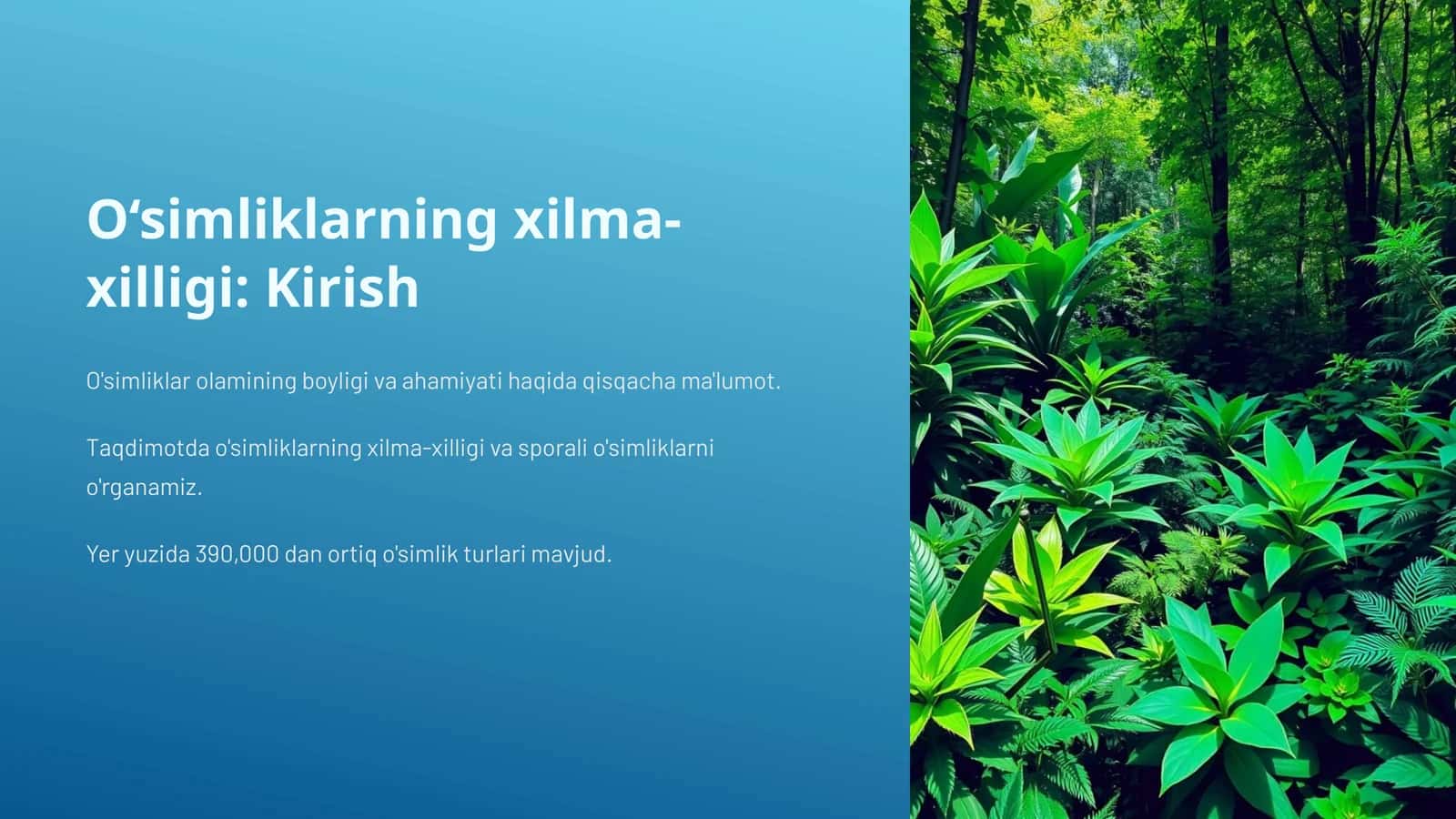 O‘simliklarning xilma-xilligi: Kirish 1