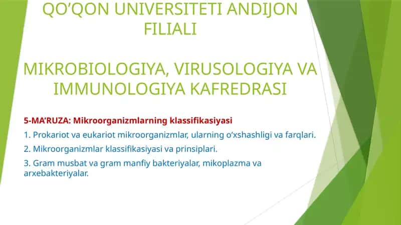Mikroorganizmlarning klassifikasiyasi 1