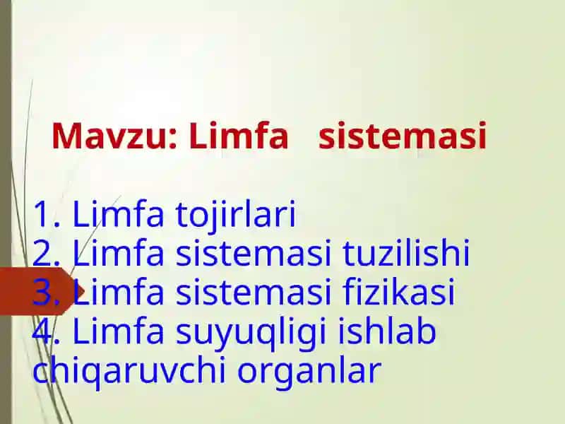Limfa sistemasi
