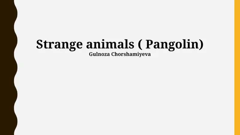Pangolin 1