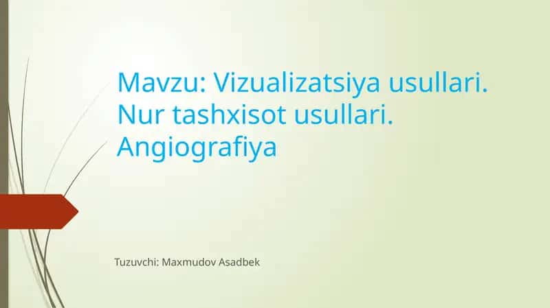 Vizualizatsiya usullari 1