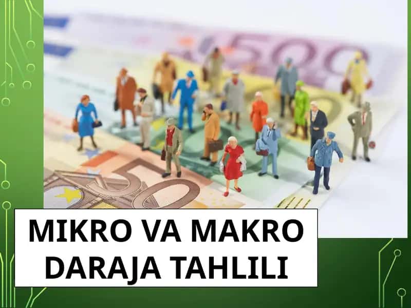 MIKRO VA MAKRO DARAJA TAHLILI 1